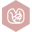 Felin Kortingscode