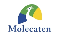 Molecaten Kortingscode