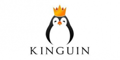 Kinguin Kortingscode